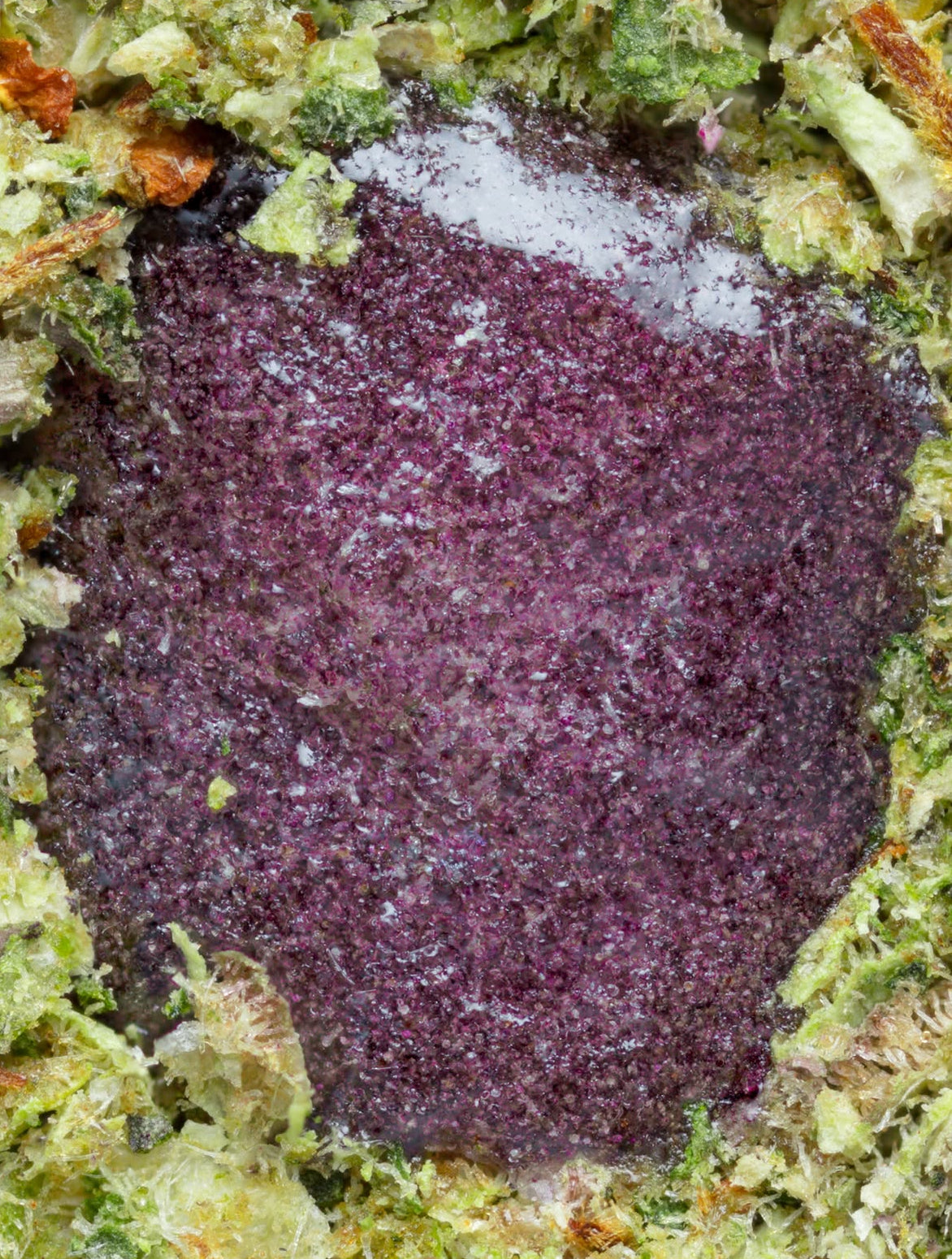 Hash halo